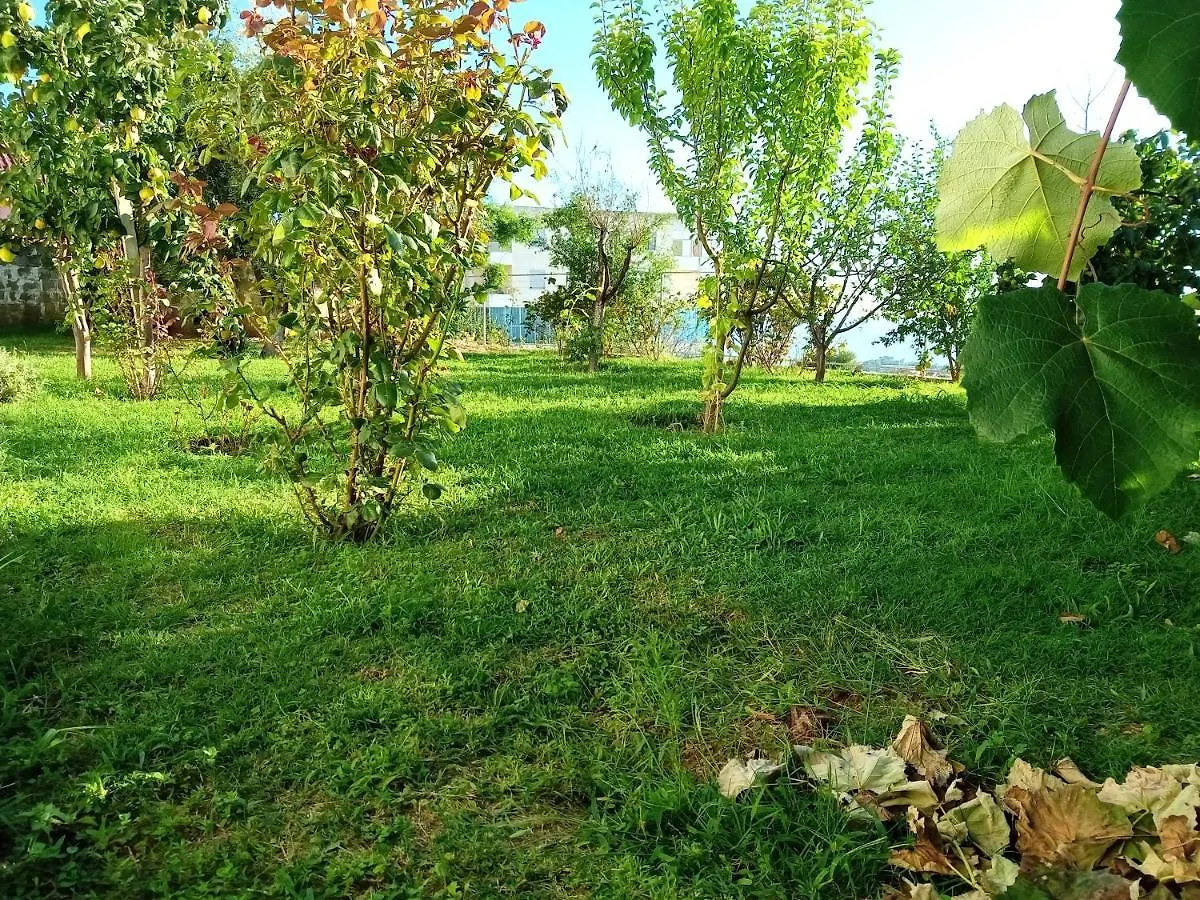 Meti Guest House Krujë Albanie