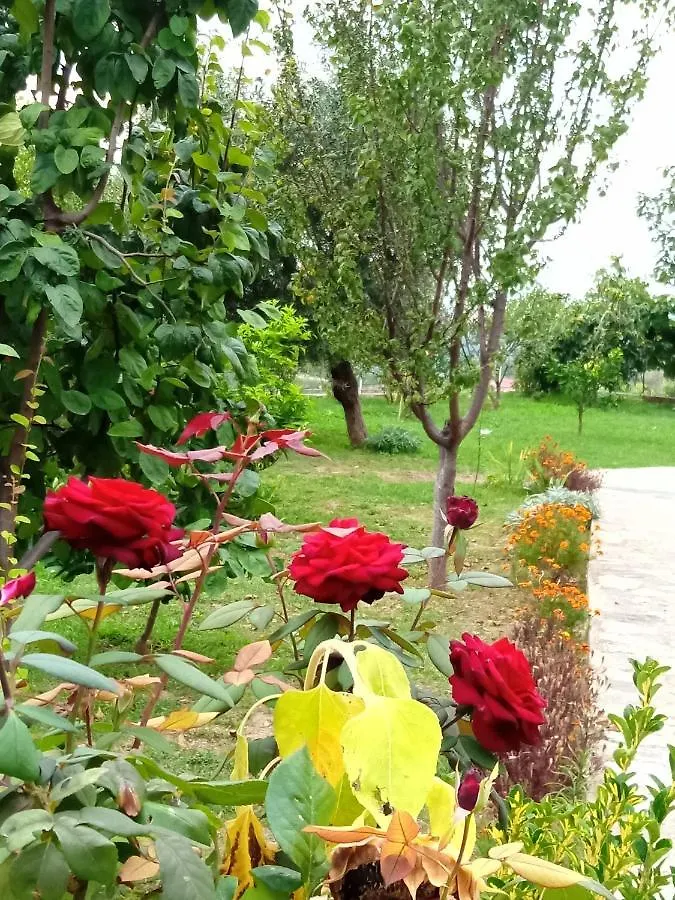 Meti Guest House Krujë