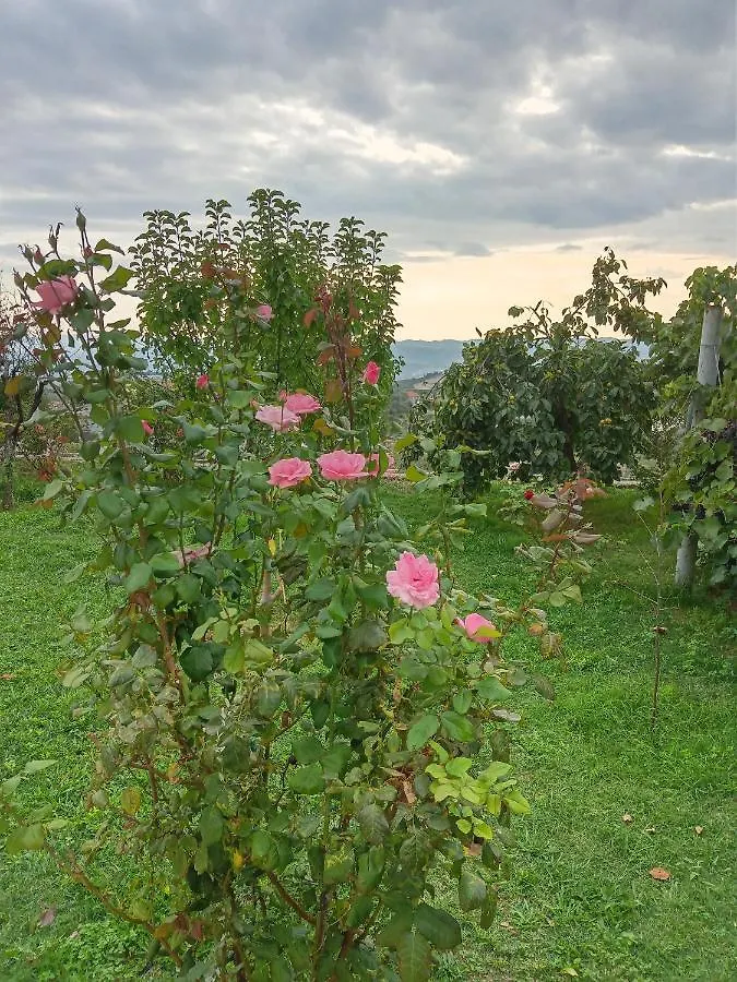 Meti Guest House Kruje Albania